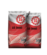 lg-36665